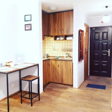 Apartment Beautiful In Downtown